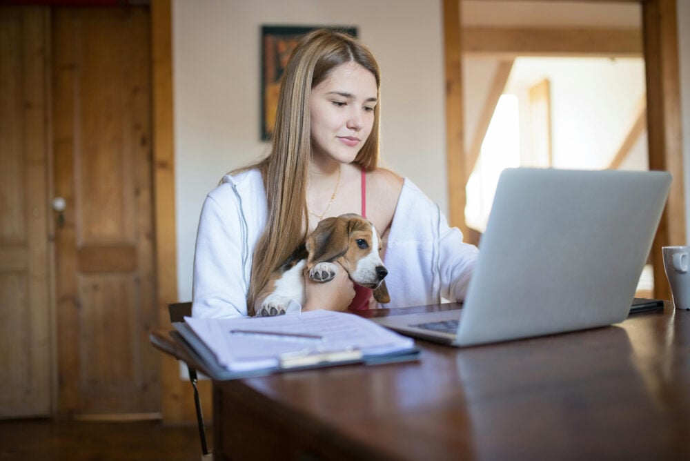 working from home